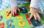 Eighteen Months Program